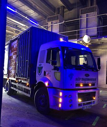 Canlı Hayvan Taşımacılığı